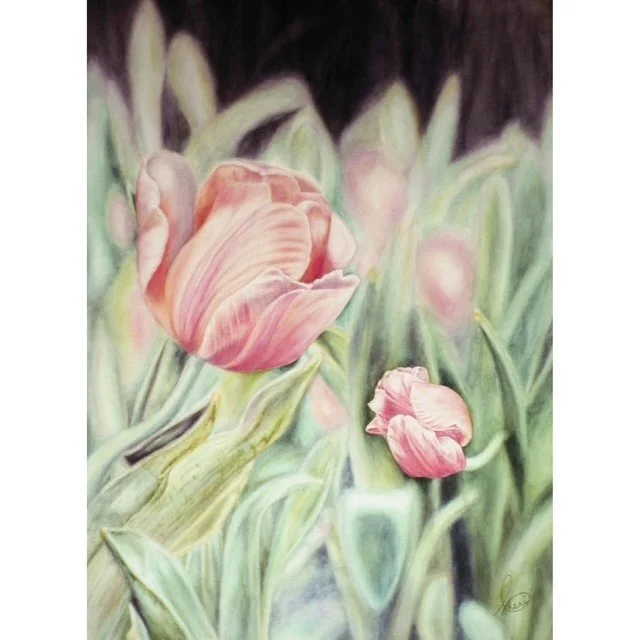 Tulips