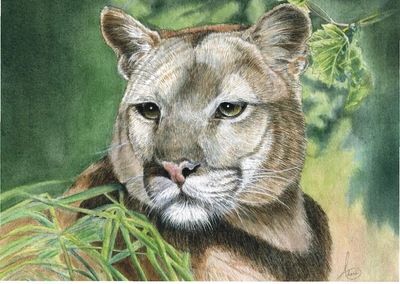 Waiting ┬⌐Cheri Denis.jpg