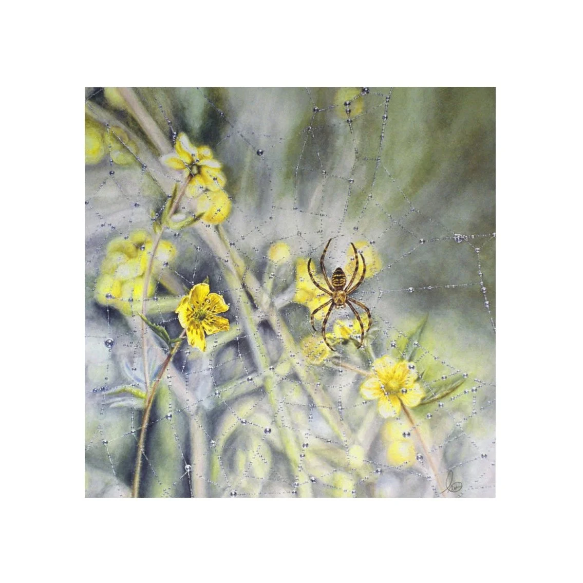 4. Captive square A22 ©Cheri Denis.JPG