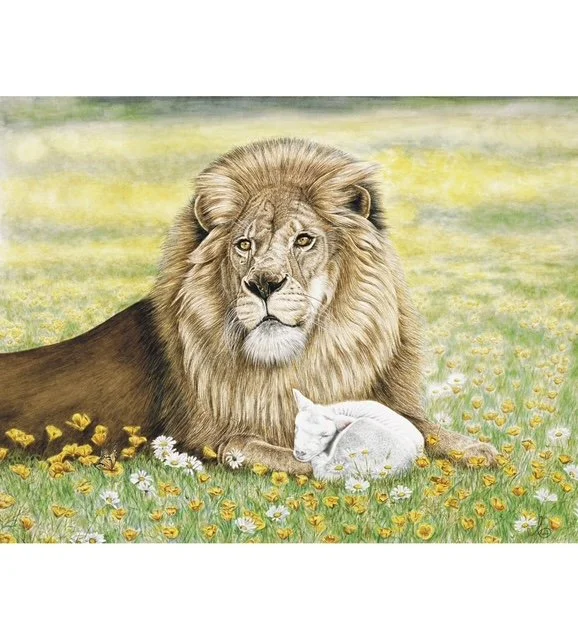 Millennium limited edition