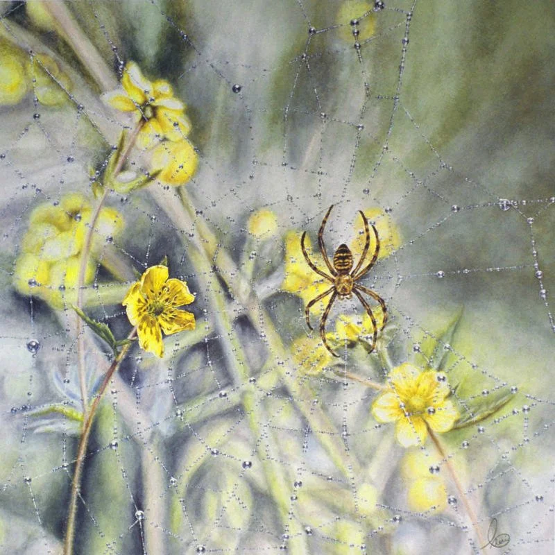 Captive limited edition