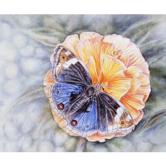 Quiet Rest square A124 ©Cheri Denis.jpg