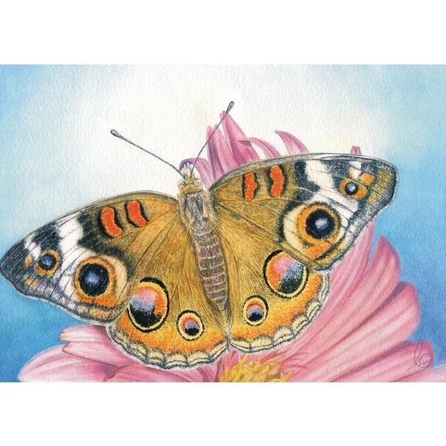 Renewal A18 square ©Cheri Denis.JPG