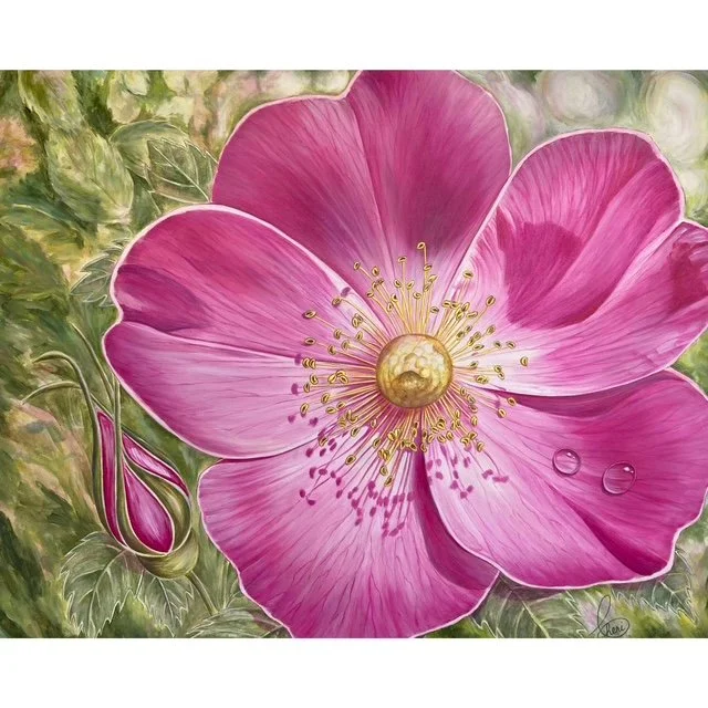 Spirit of Gentleness