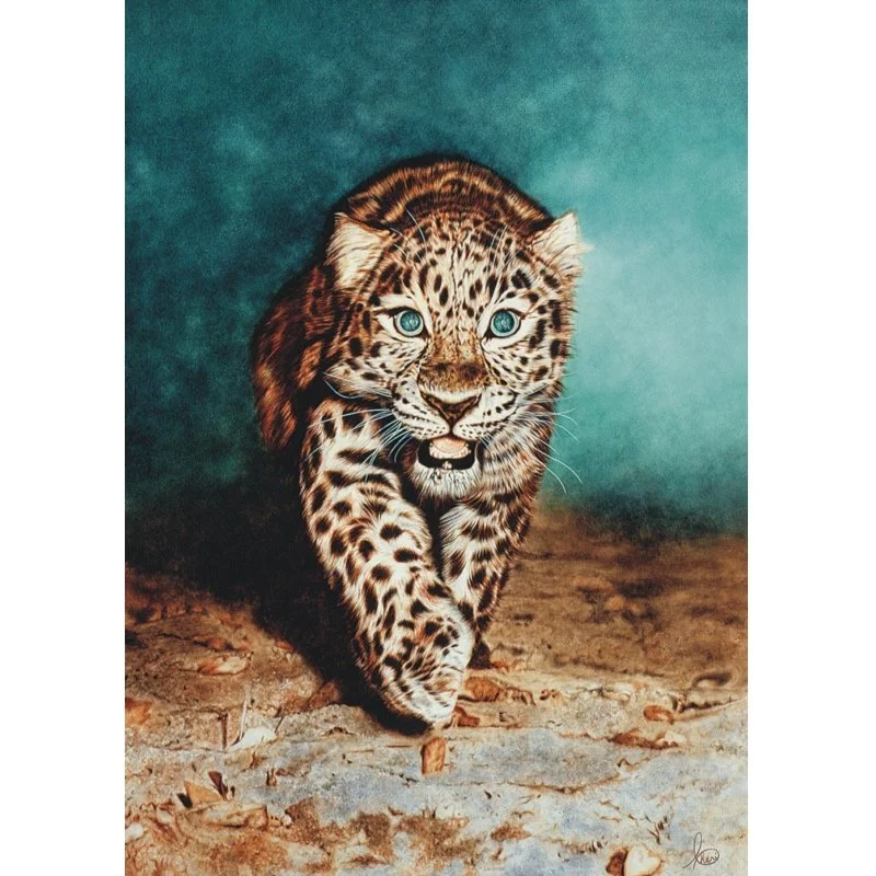 Survival limited edition