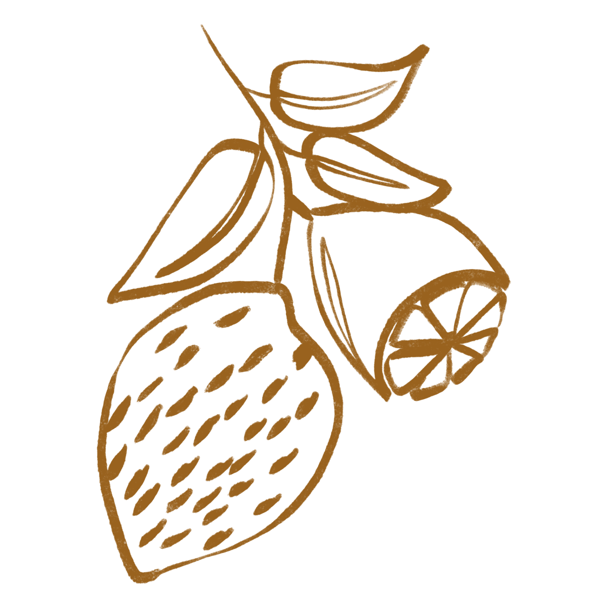 Skizze von einer Zitrone mit Blättern und Zitronenstücken, in braunen Linien auf weissem Hintergrund.