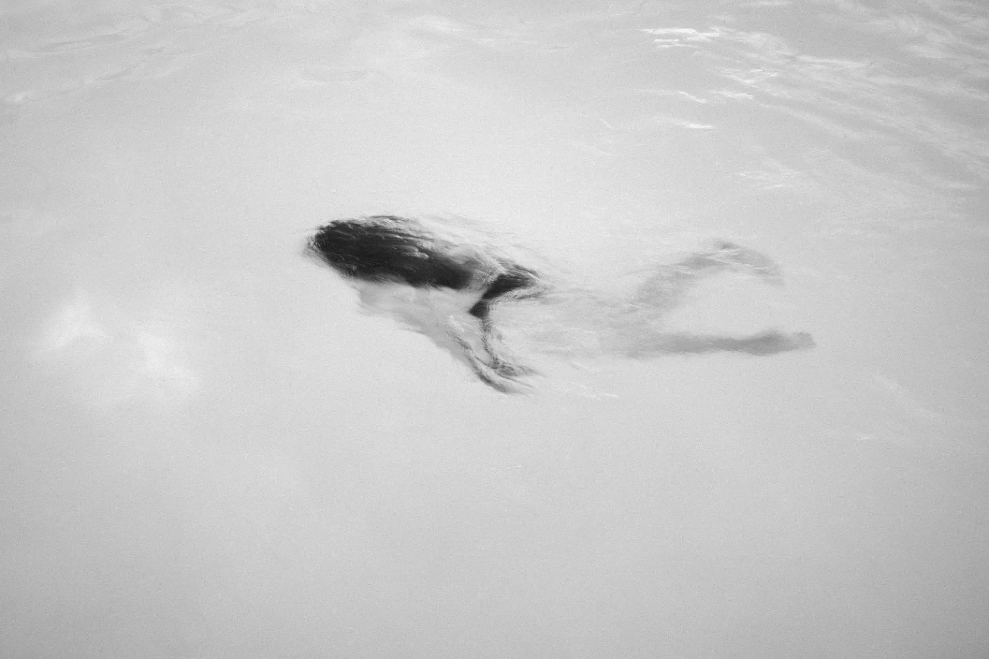 bouc_motion-02.jpeg