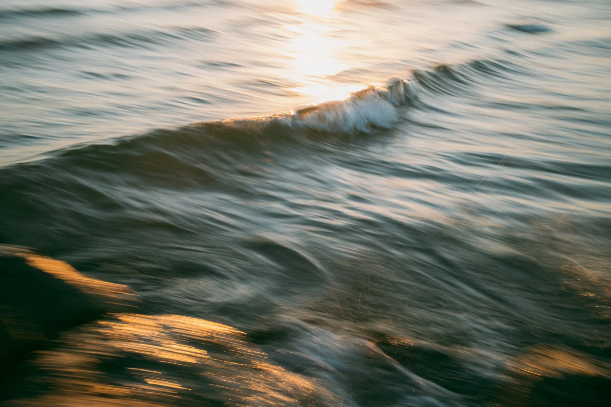 bouc_motion-01.jpeg