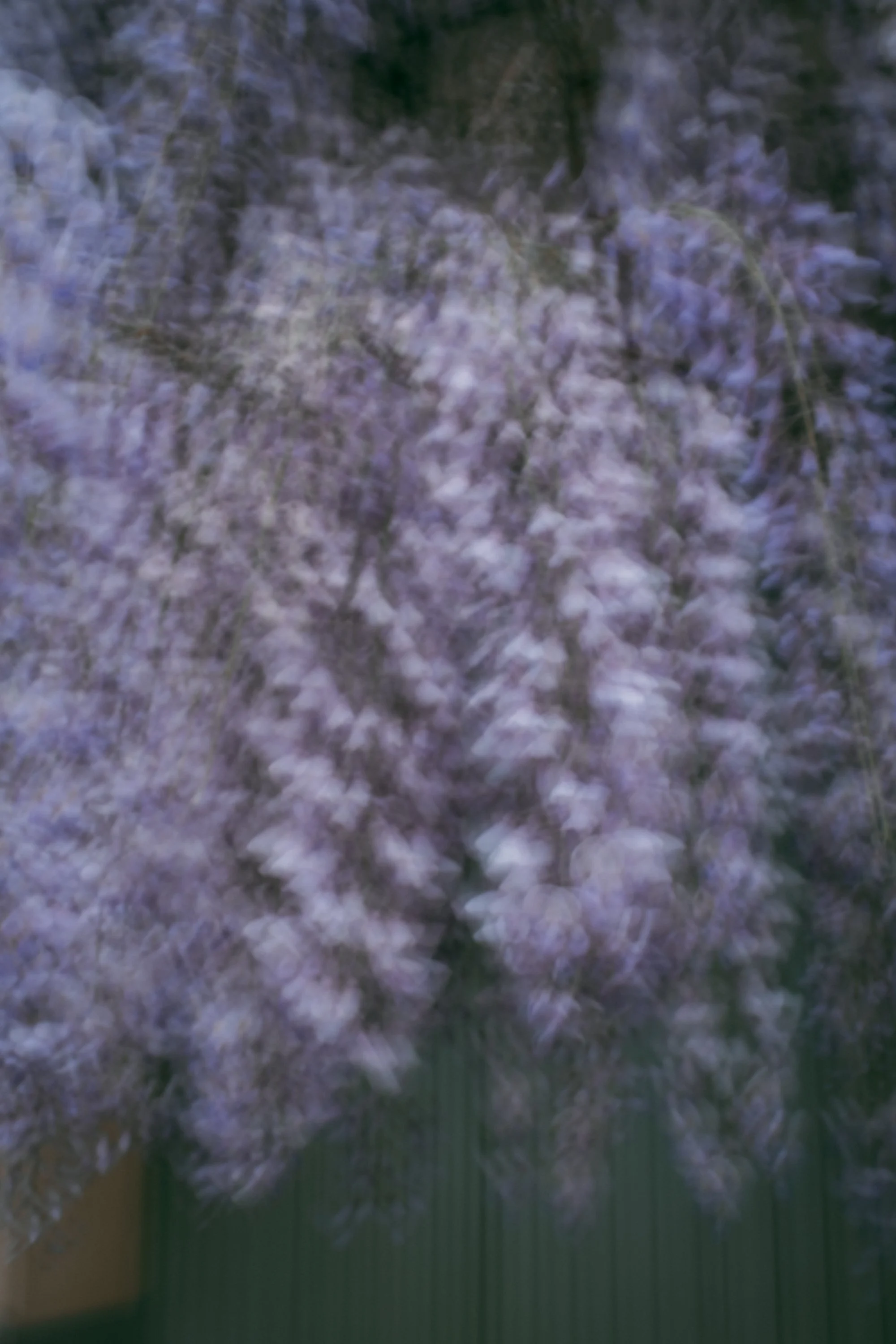 bouc_motion-06.jpeg