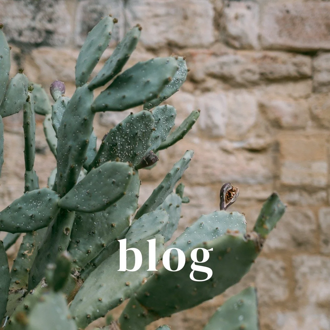 🎉Yay🎉!!! Hier kommt Teil 2 meines Kreativit&auml;t-Blogbeitrags. Freue mich auf eure Gedanken dazu!  Wie findest du den Weg zur Kreativit&auml;t? 

H&uuml;pf r&uuml;ber auf meinen Blog auf meiner Webseite: https://www.sandraroth.ch/blog/kreativitae