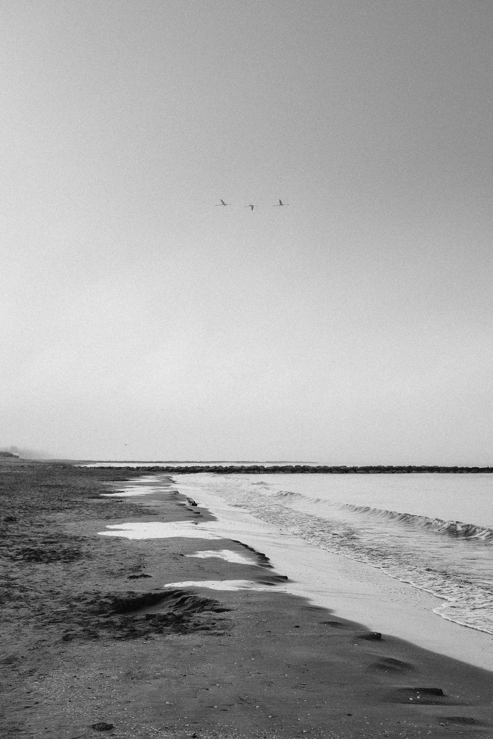 Ein Strand mit Sand, Wasser und Wellen. Drei Vögel fliegen am Himmel. Das Bild ist in schwarzweiss gehalten.