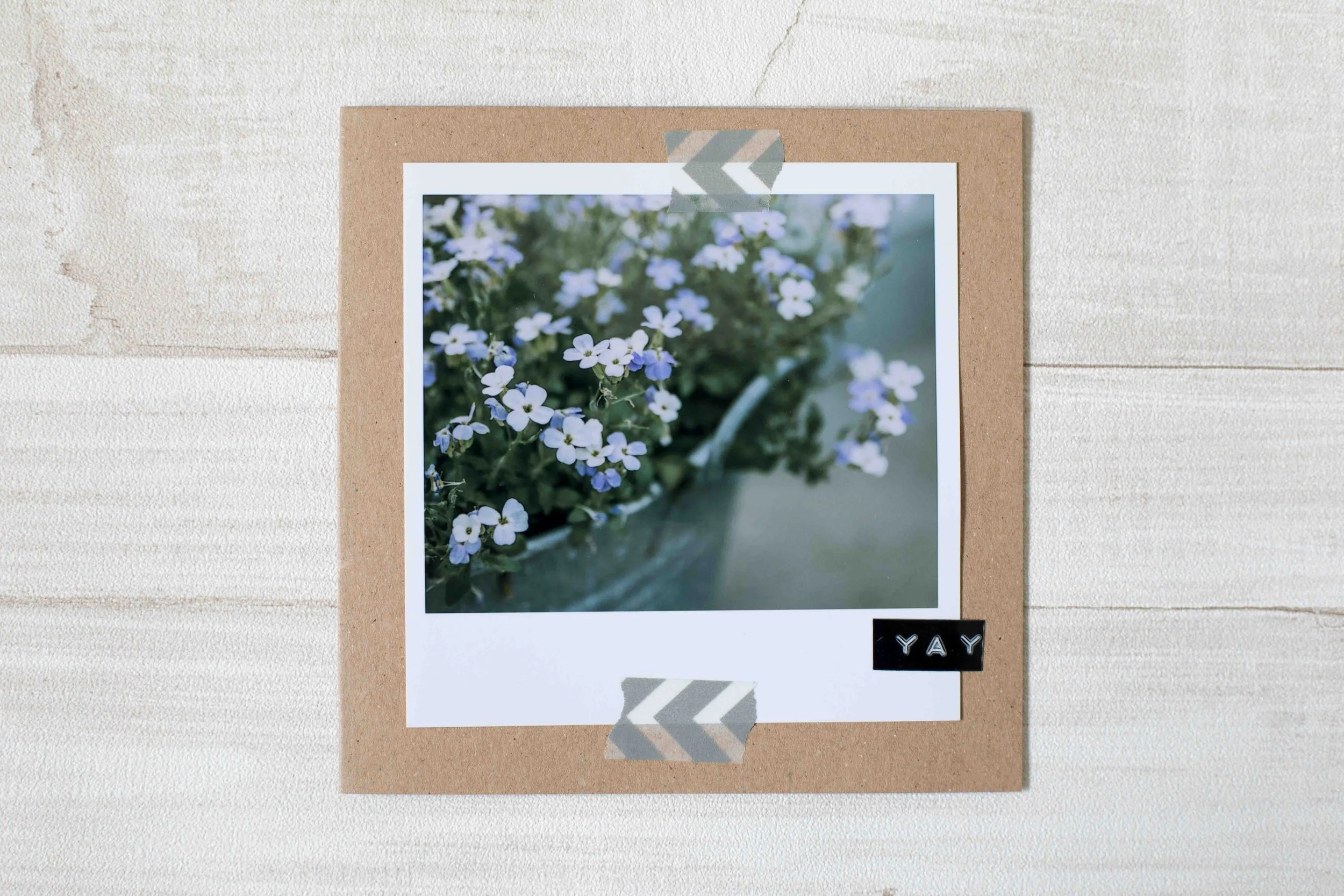 Klappkarte mit einer Blume mit feinen blauen Blüten.