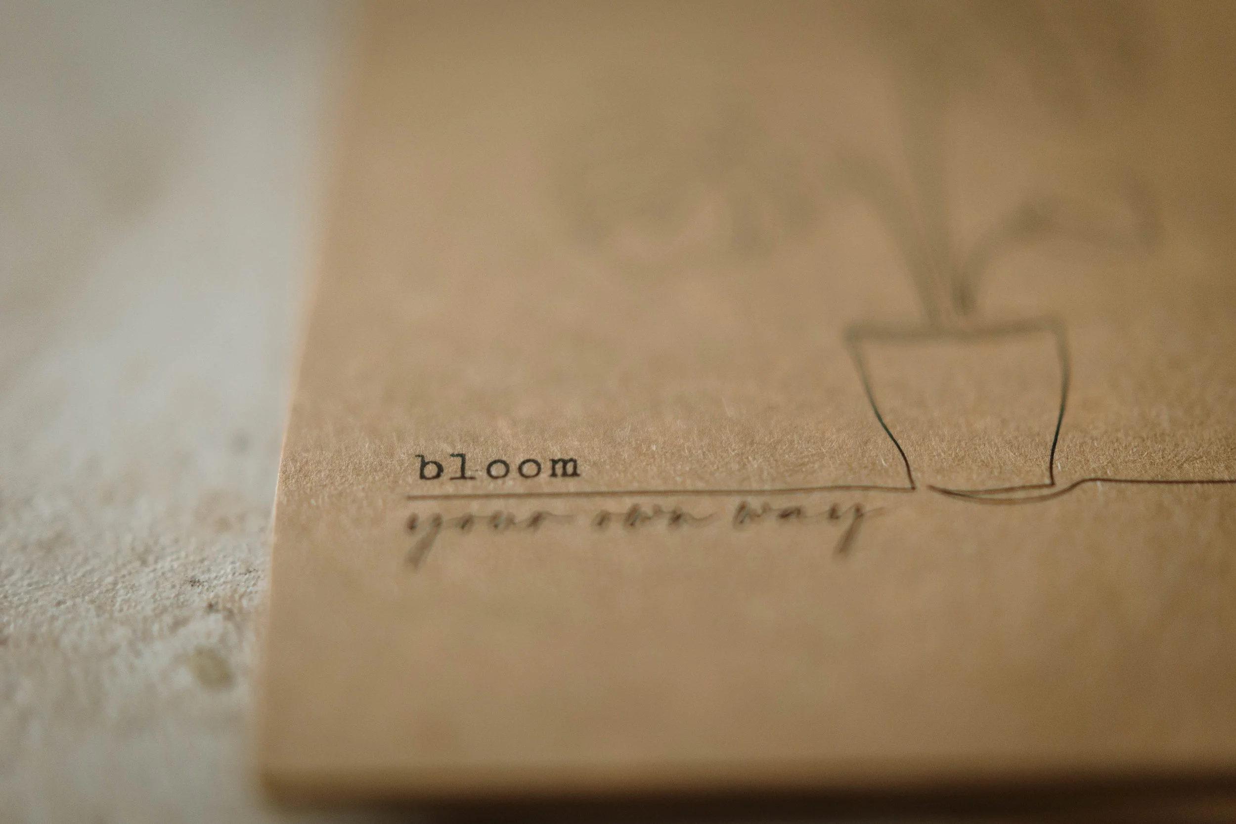 Nahaufnahme einer Postkarte mit einer handgezeichneten Topfpflanze und dem Wort ‚bloom your own way‘ auf der linken Seite.