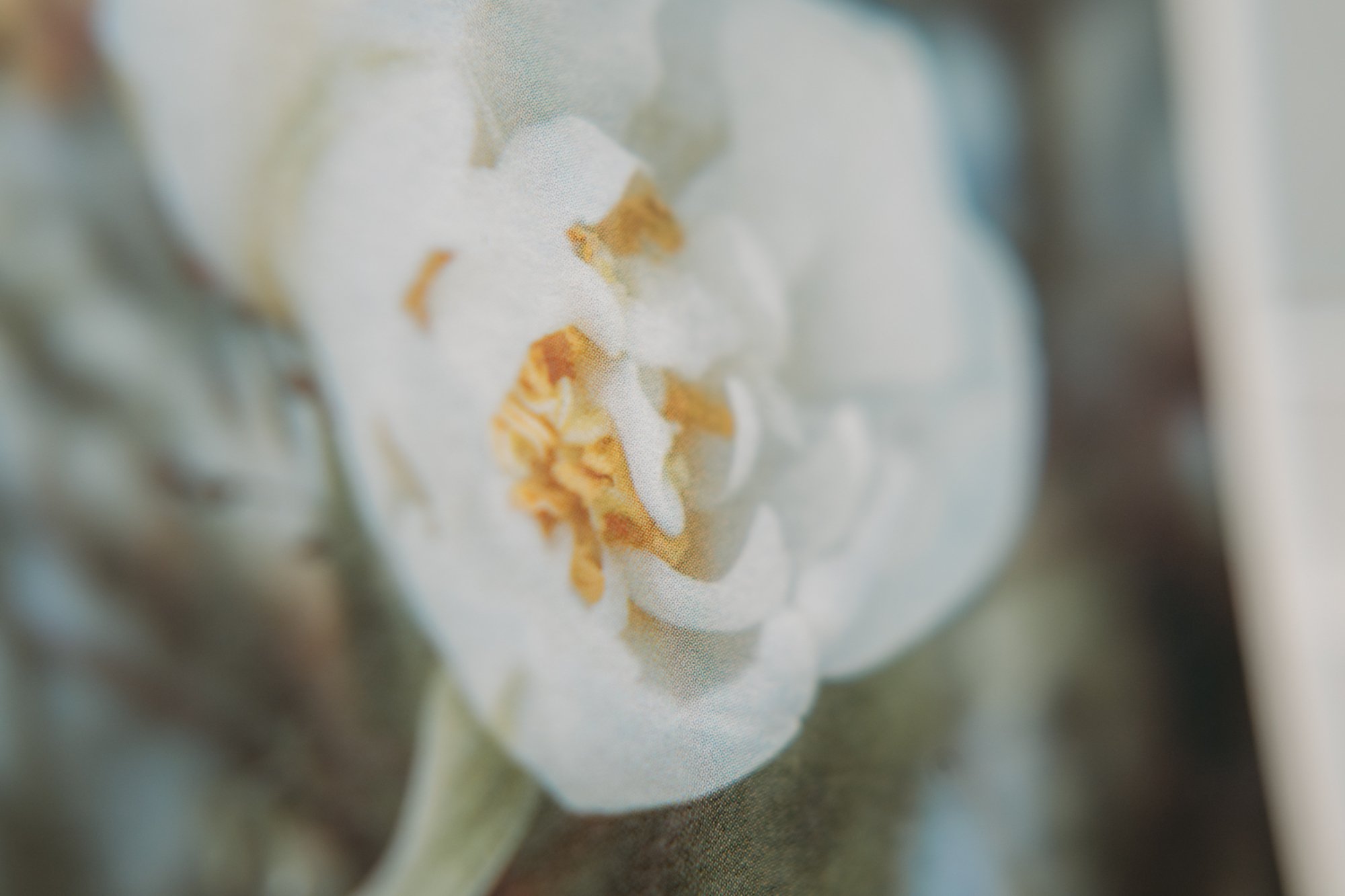 Nahaufnahme einer Postkarte mit der Aufschrift 'HAPPY BIRTHDAY' in Grossbuchstaben, auf braunem Papier, teilweise sichtbar, mit einer Zeichnung einer Weltkarte.