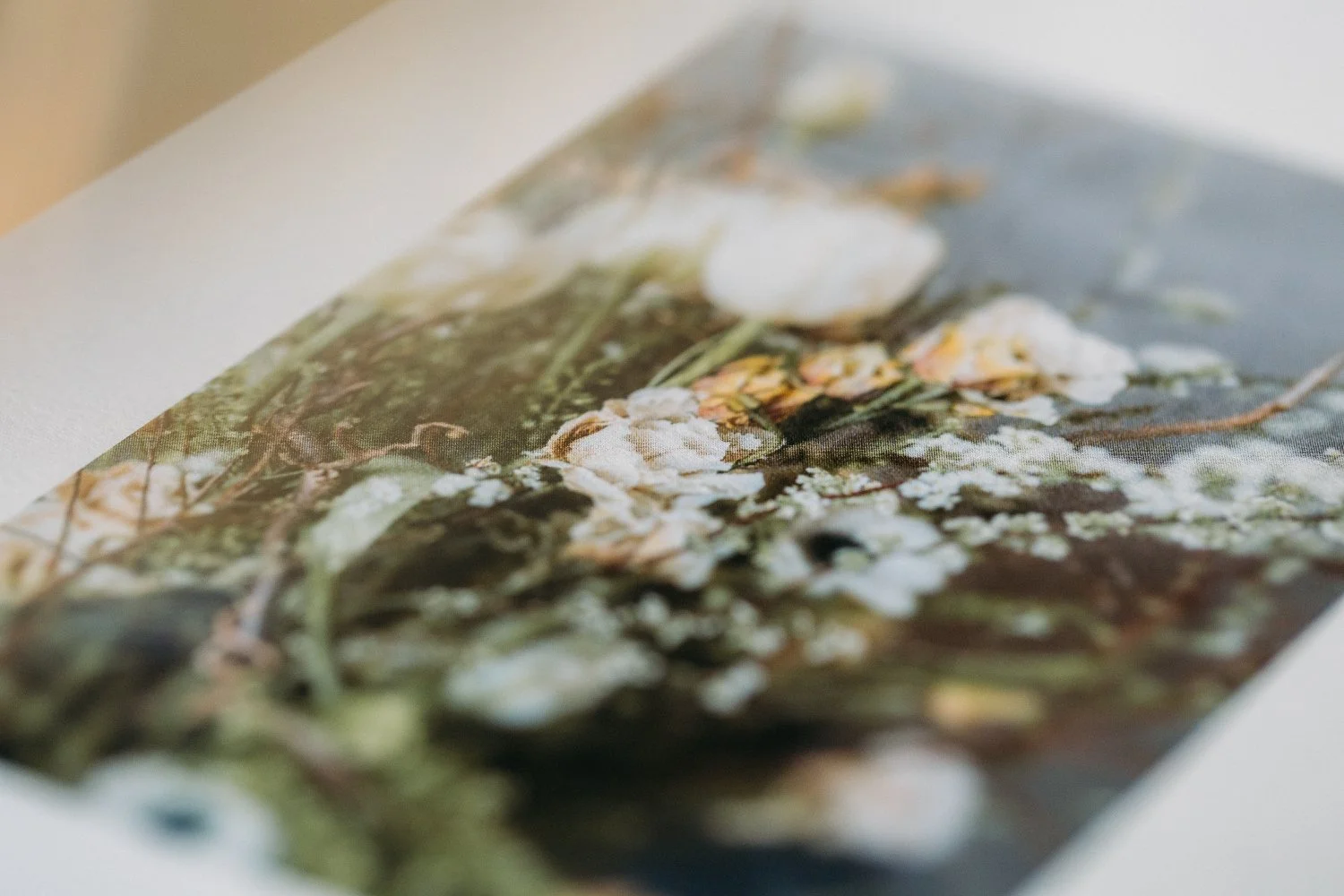 Fotografie eines Blumenstrausses mit weissen und gelben Blüten, leicht verschwommen. Nahaufnahme.
