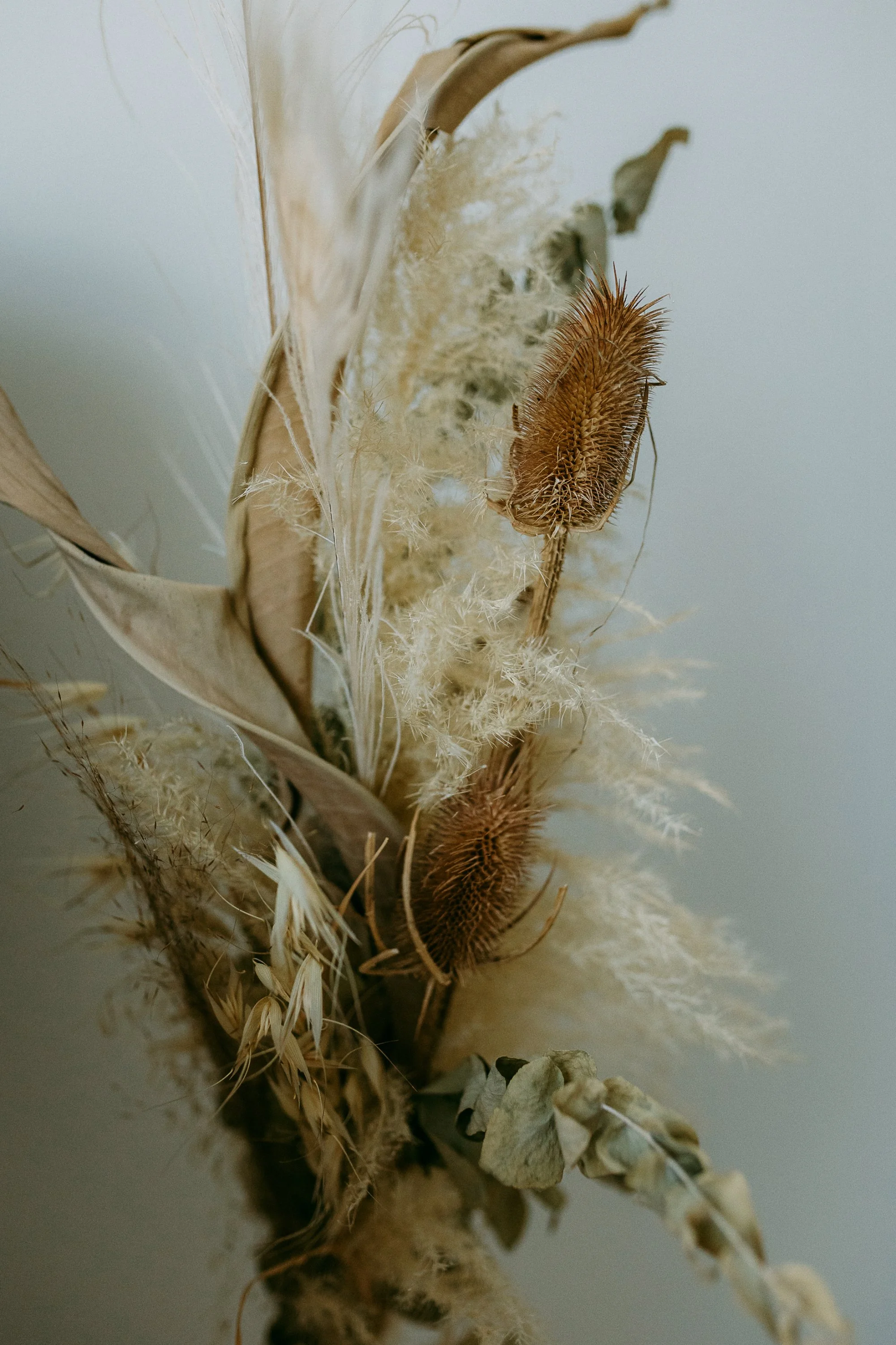 Trockenblumenstrauss mit getrockneten Gräsern