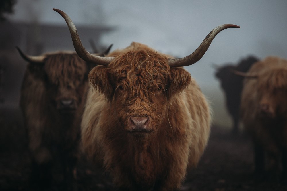 Warum geprintete Bilder so wichtig sind.