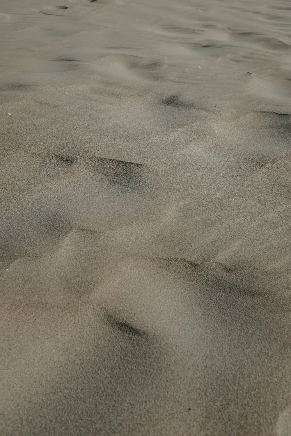 Sanddünen an einem Strand.