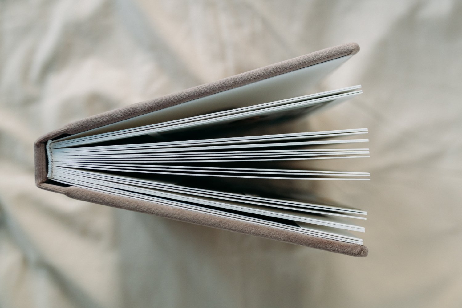 Aus der Vogelperspektive aufgenommenes Album mit offenen Seiten auf einem weichen, hellen Stoff.