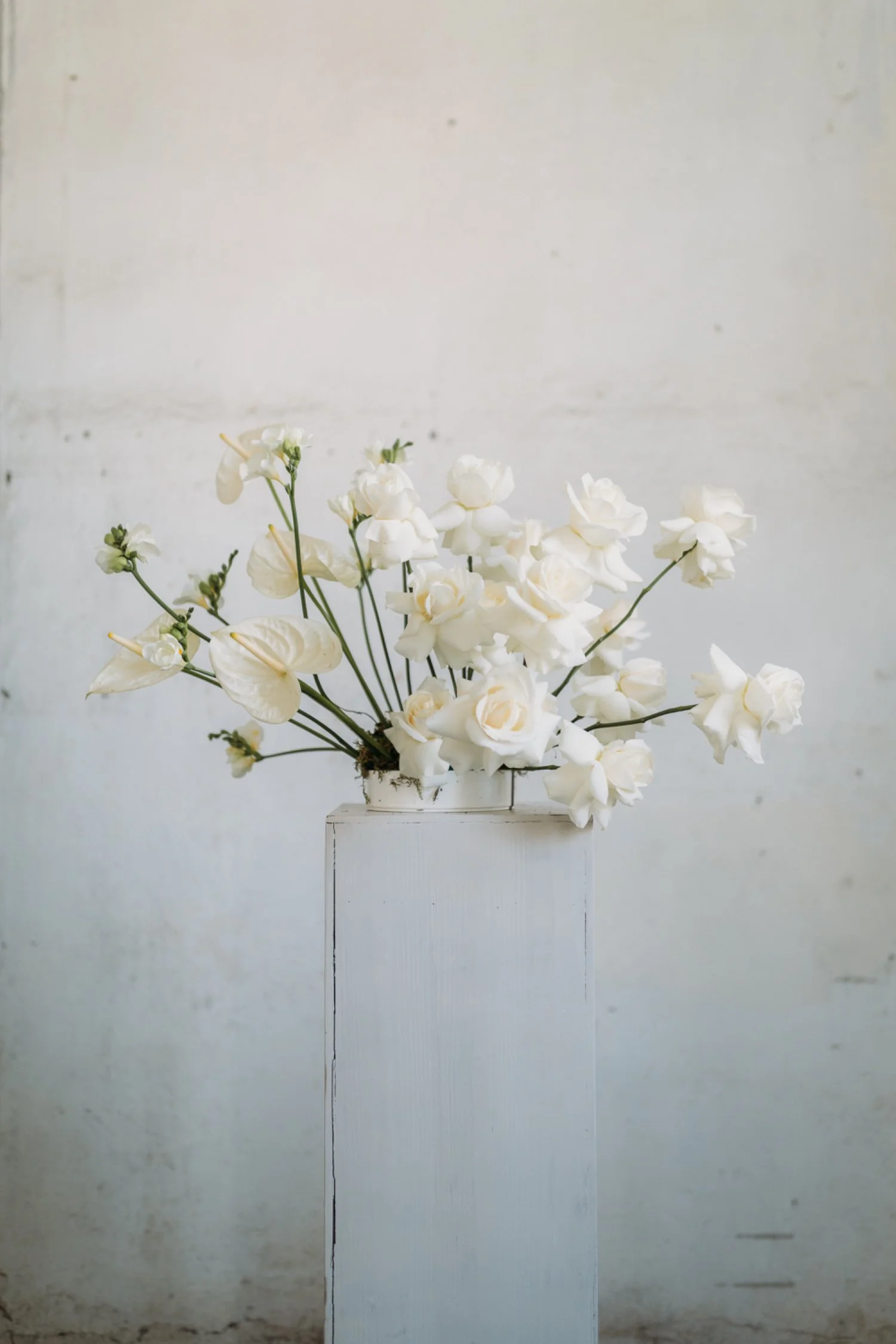 Weisse Blumen in einer Vase auf einem weissen Podest vor einem hellen Hintergrund.