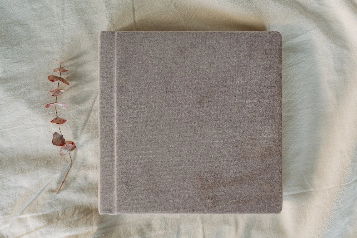 Album mit samtigem Einband liegt auf cremefarbenem Stoff mit getrockneten rosa Blättern daneben.