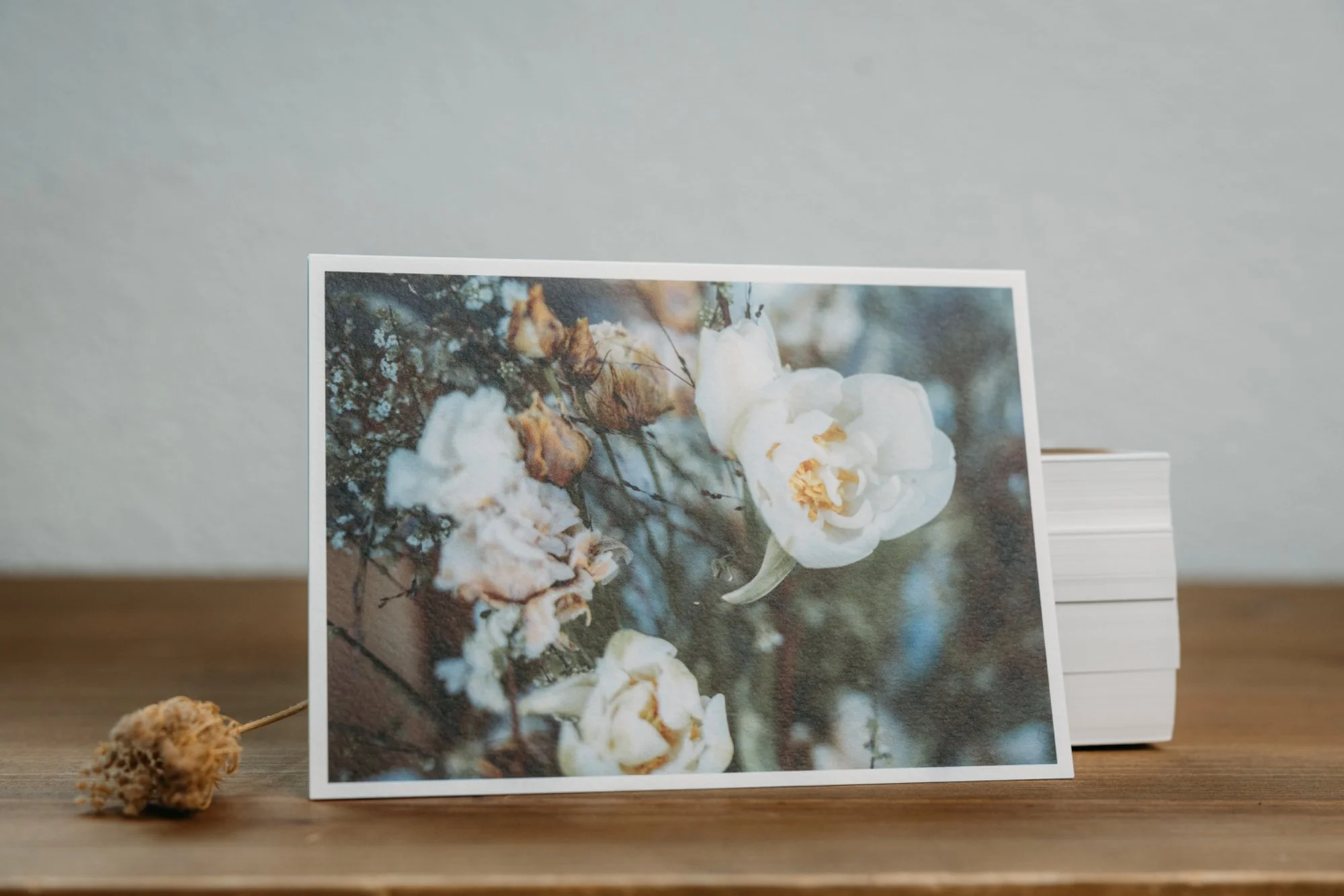 Postkarte mit Blumen, eine grosse weisse Tulpe darauf