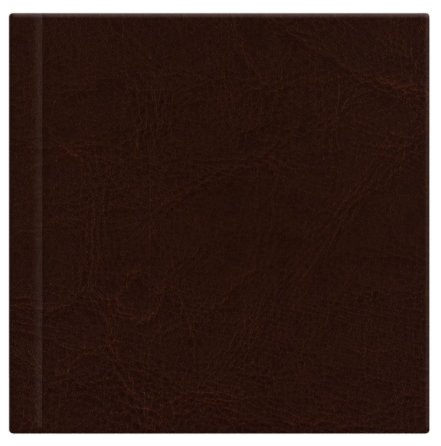 Ein braunes, lederartiges Albumcover.