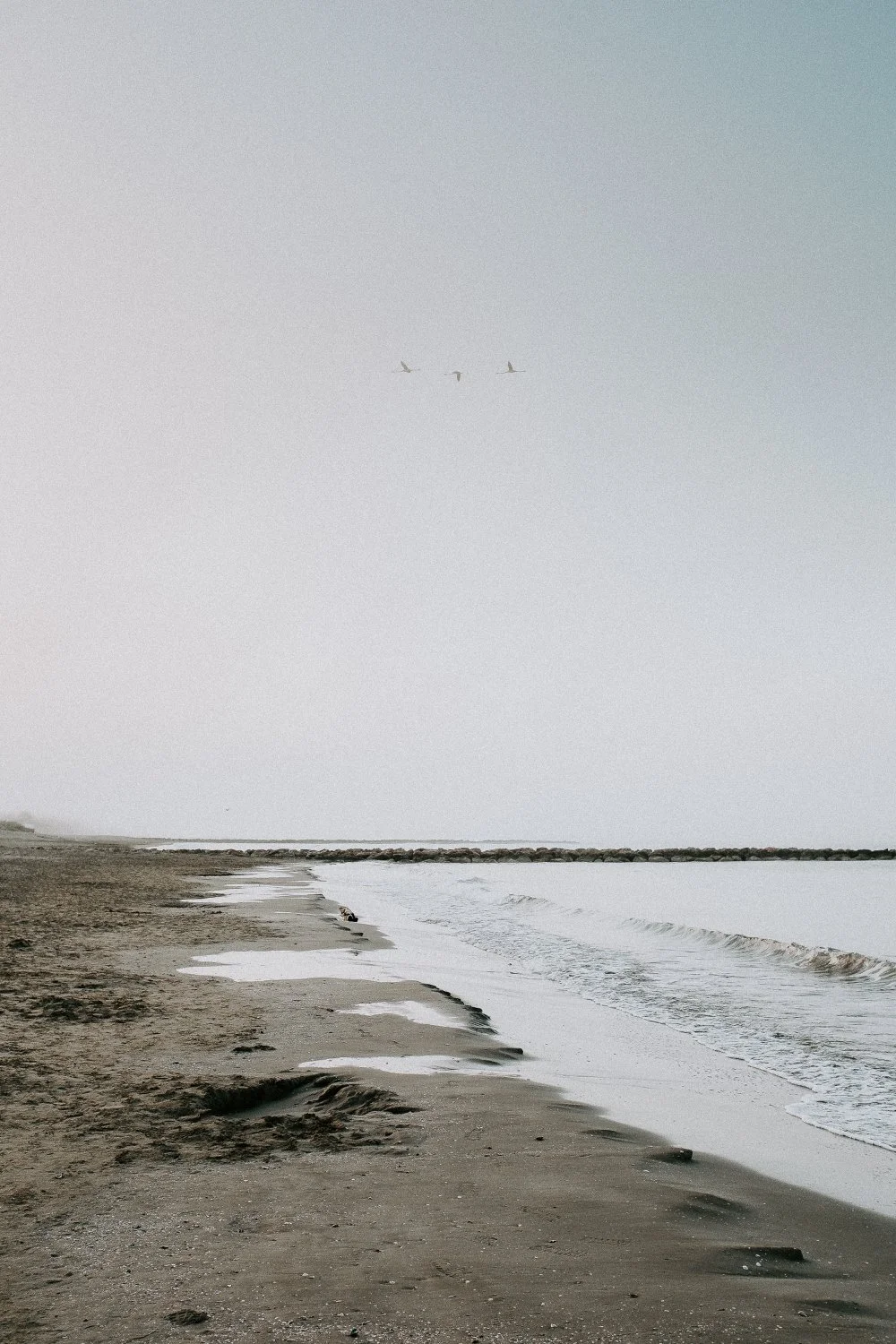 Ein ruhiger Strand mit Sand und Wellen, drei Vögel fliegen am Himmel, im Hintergrund ein Felsen oder Hafenmauer.