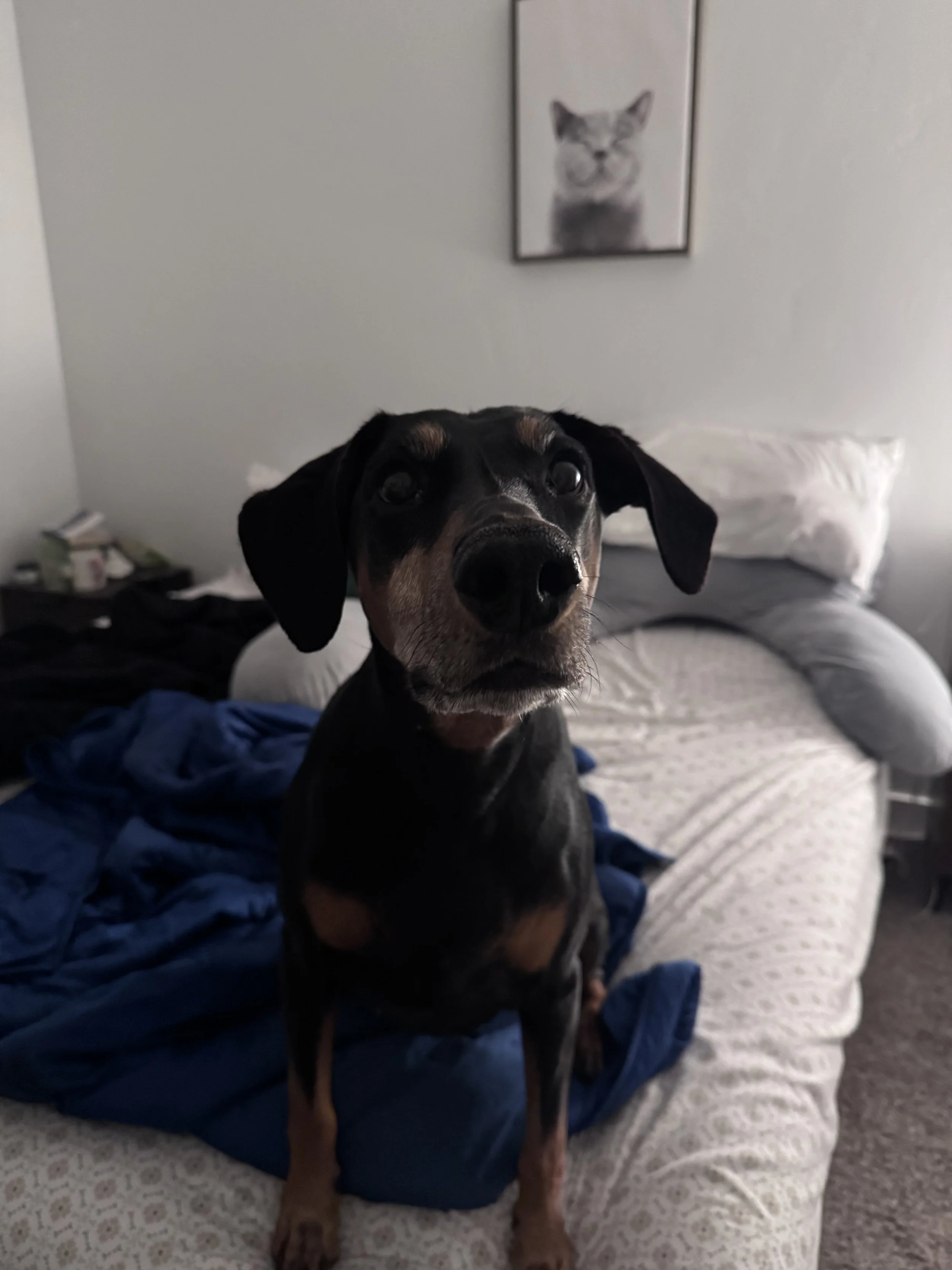 IMG_3376.jpeg