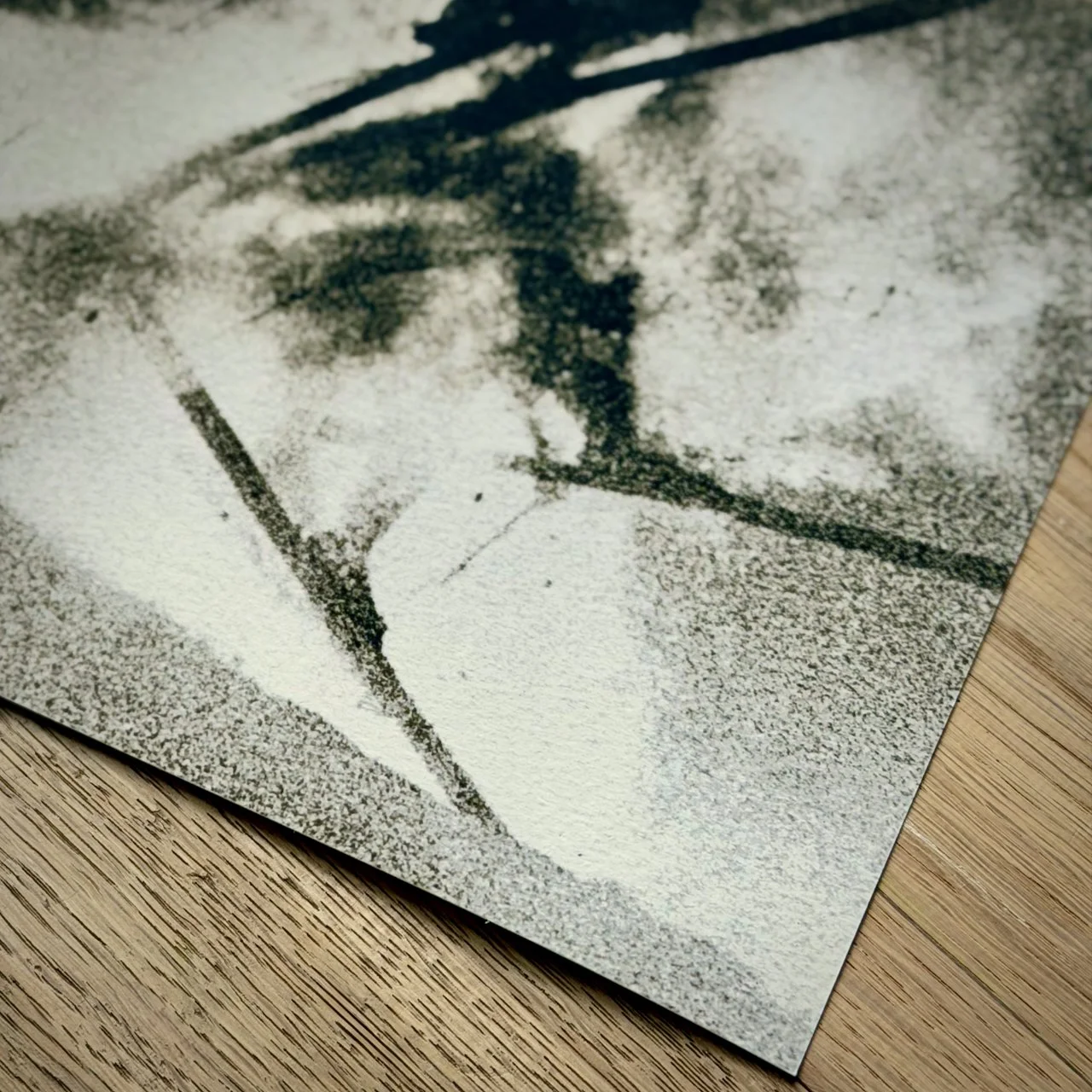 IMG_8548.jpeg