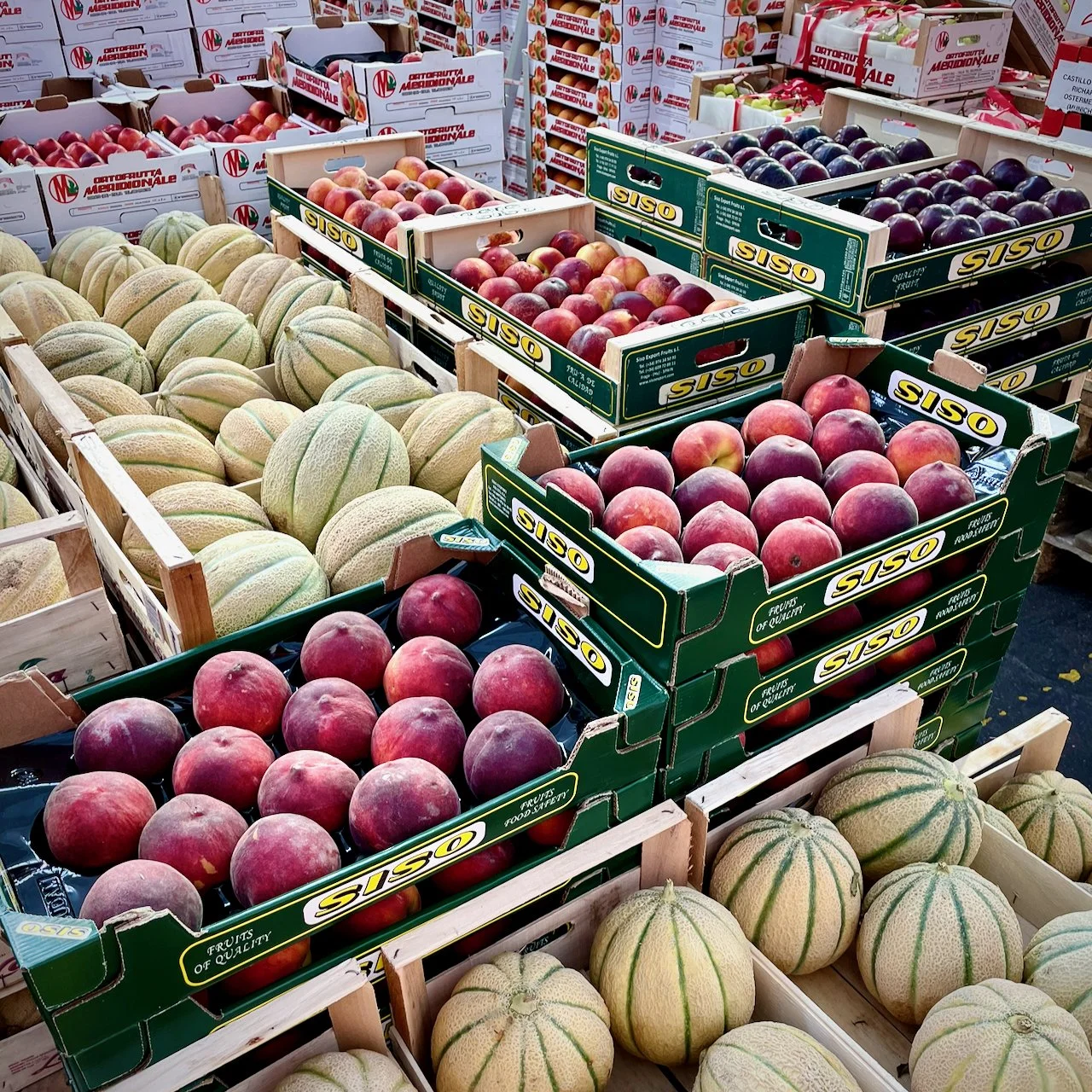 Melonen Pfirsiche und Pflaumen im Angebot der Großmarkthalle in München