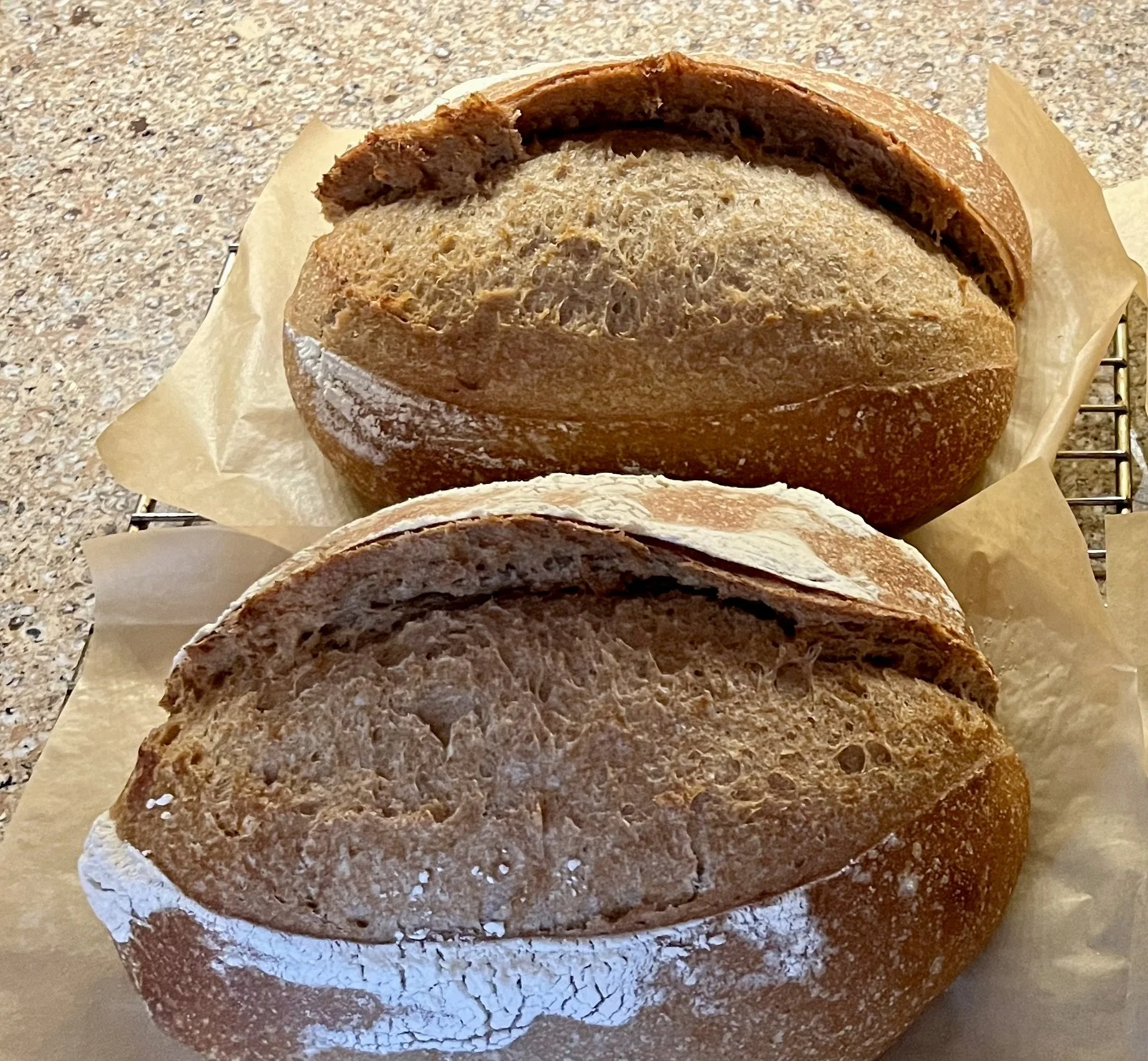 Organic 50/50 Whole Wheat Sourdough Bread