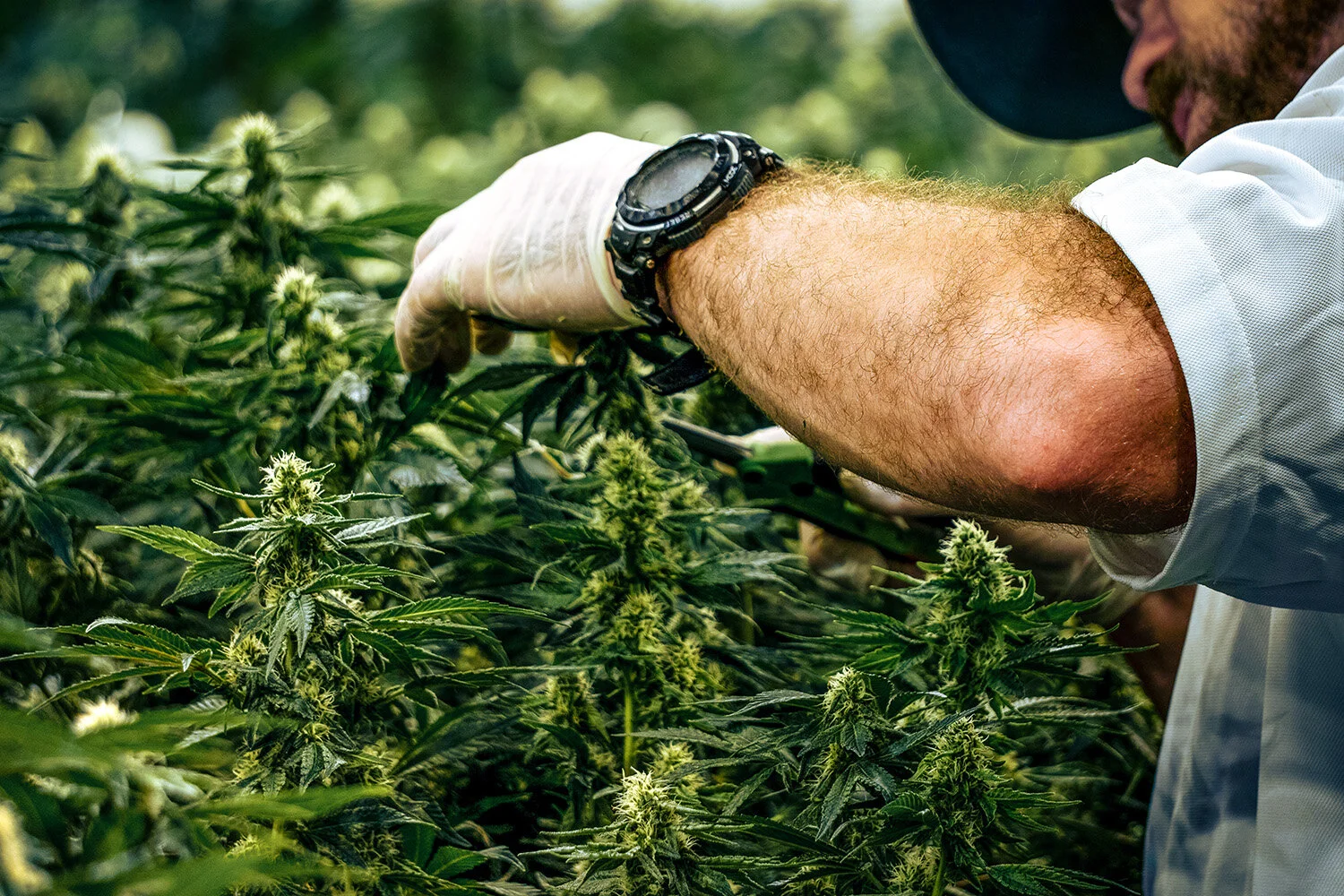 ColoradoBreedersDepot_Photos_OnLocation097 copy.jpg