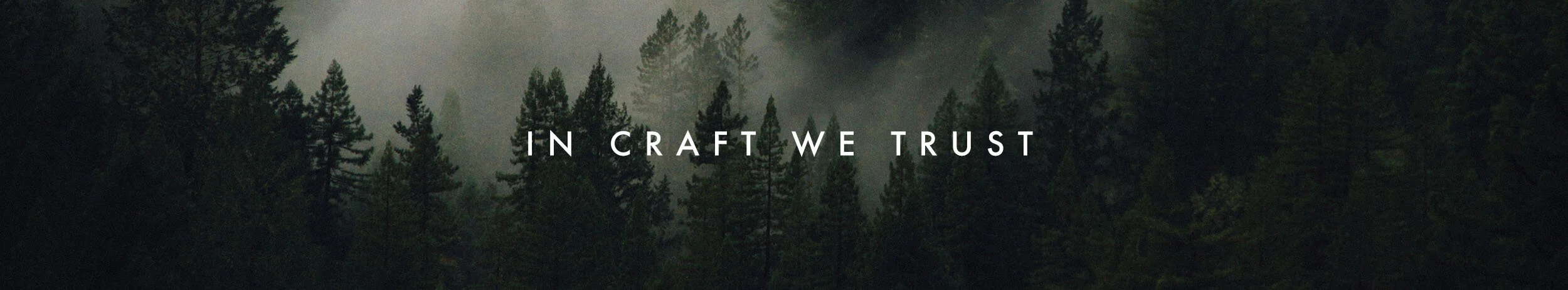 LostCoast_PageSeed BG.jpg