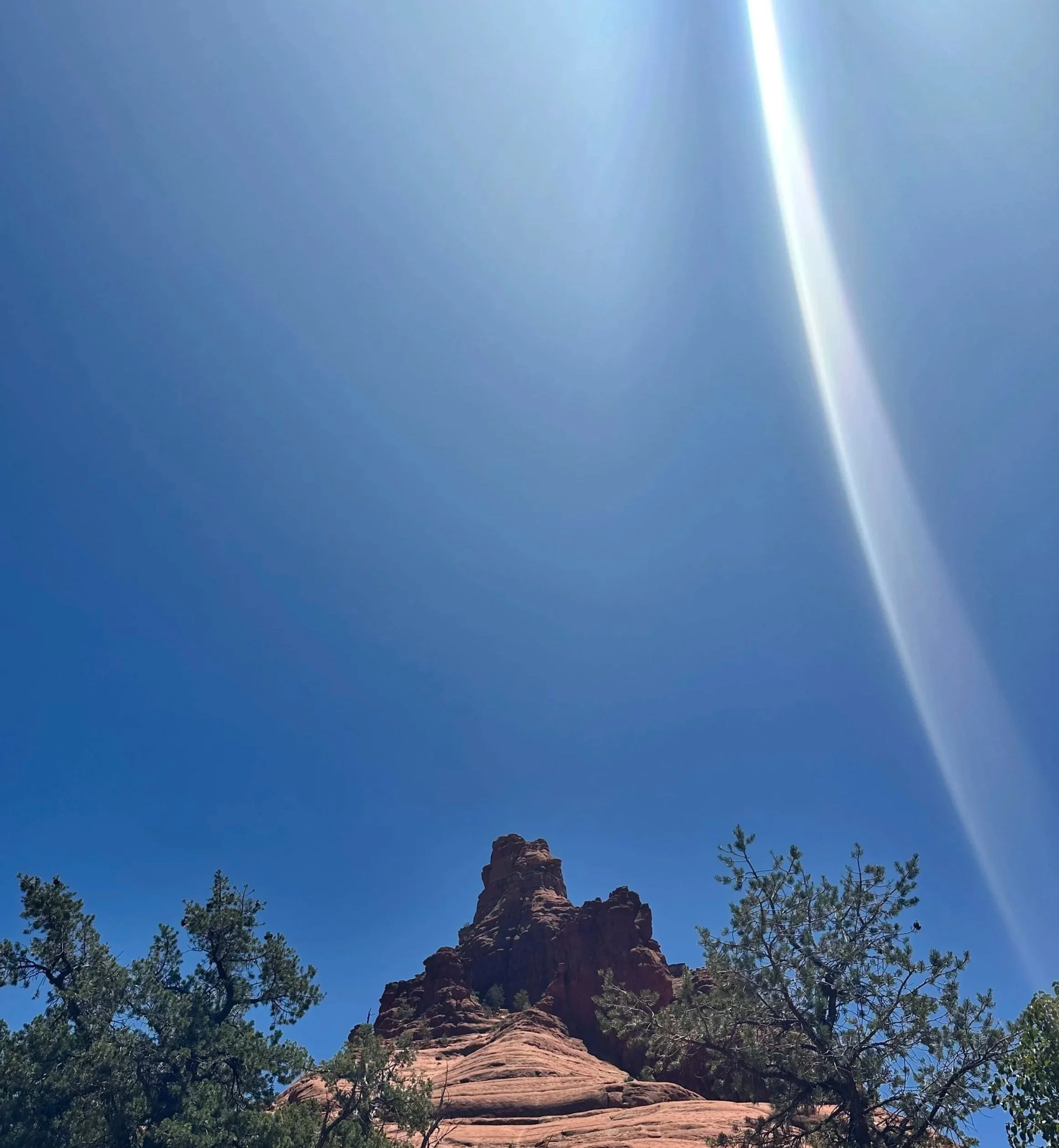 Do You Choose to Compete or to Collaborate?