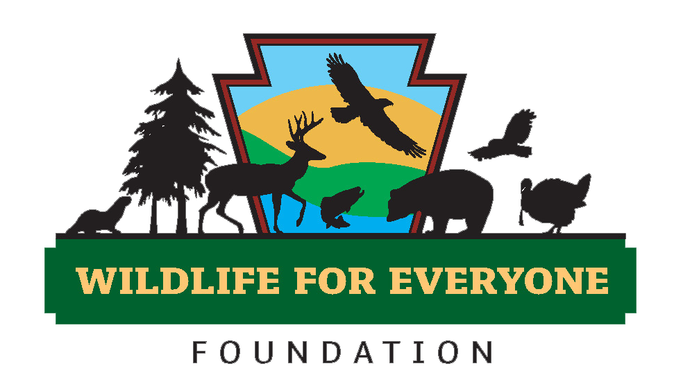 WFEF logo