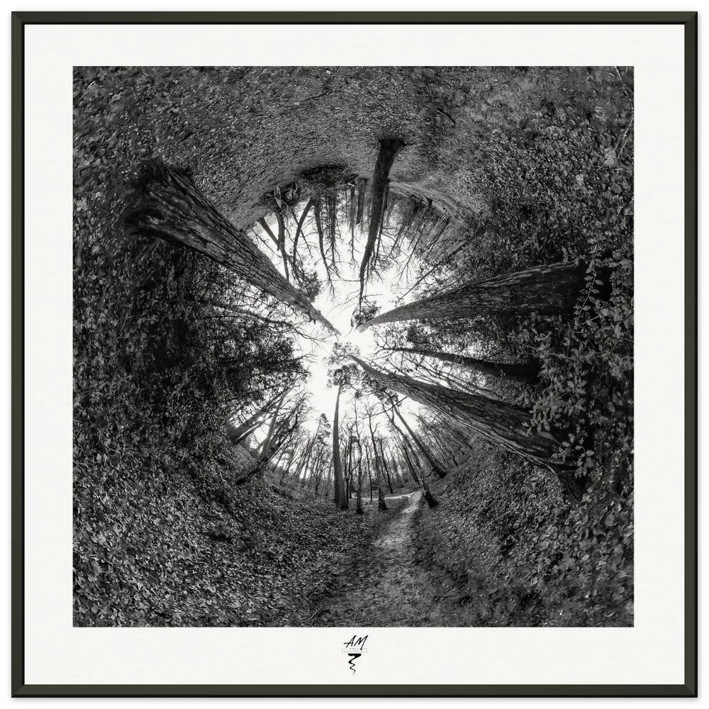 Colemere Aperture              IWS 6 - 50 x 50 cm