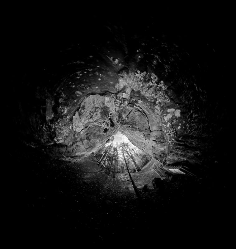 thetaplus_20260214171934976 (2).jpg