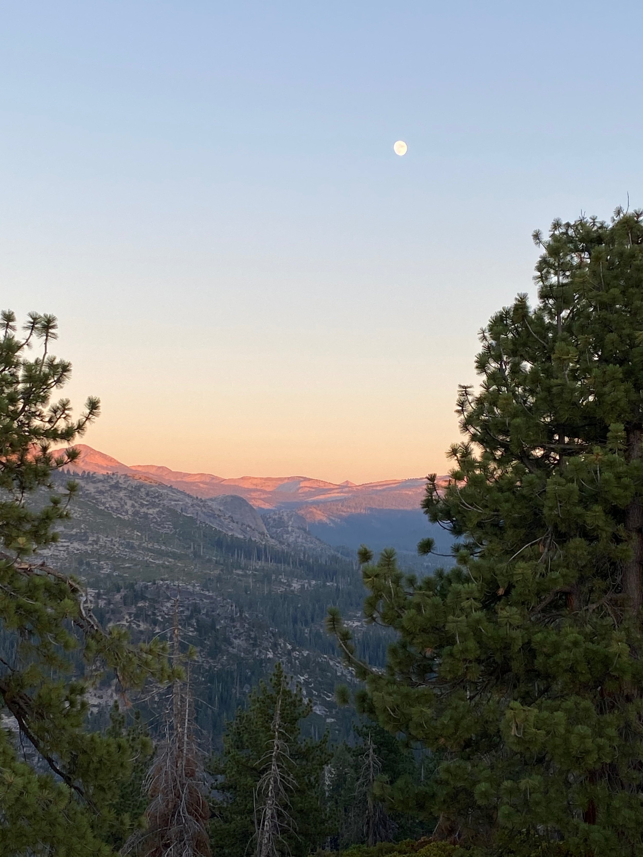 Yosemite National Park