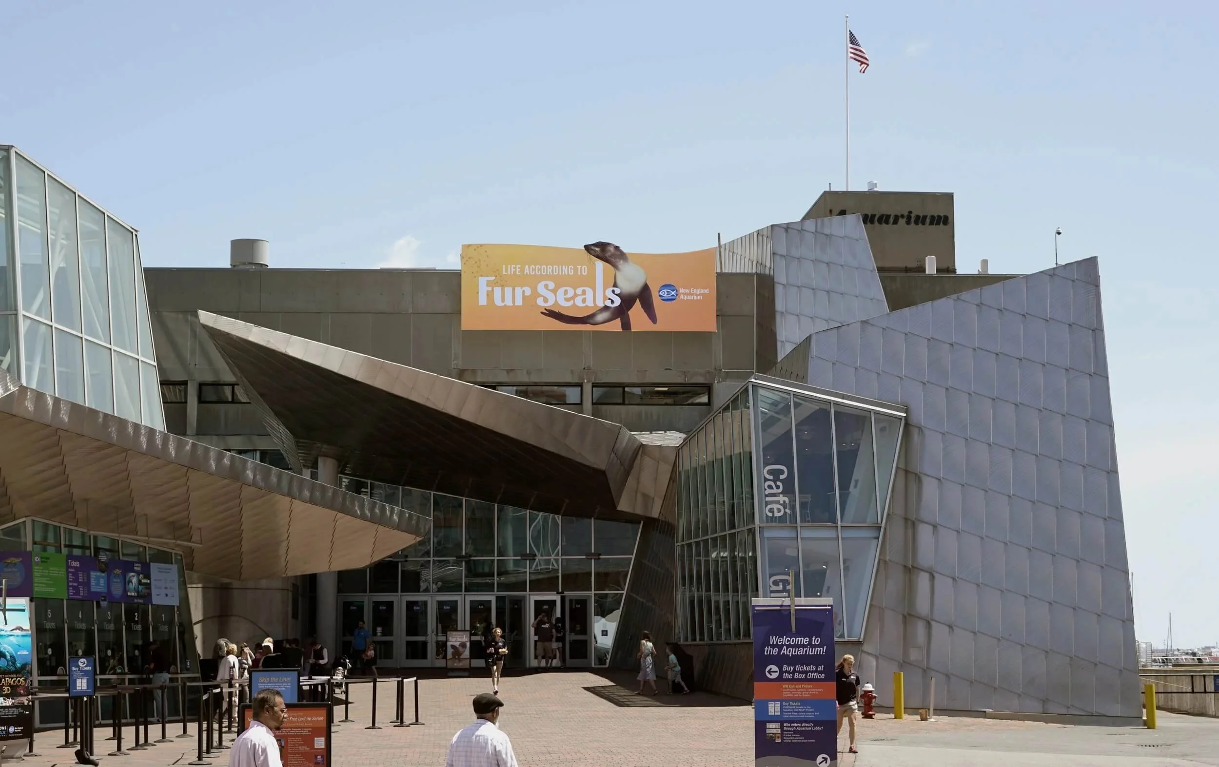 NEAQ-FurSeals-Creative6.jpeg