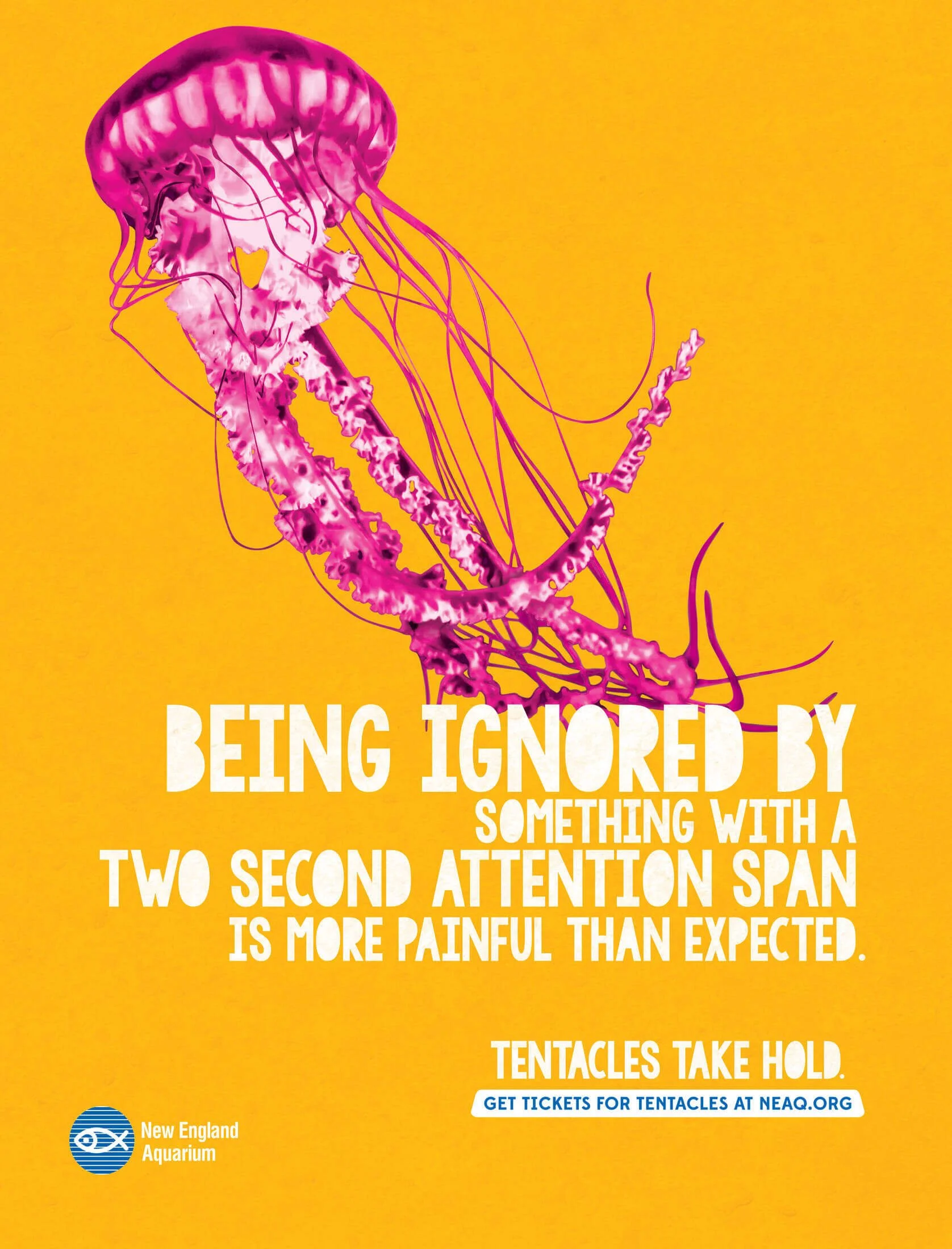 NEAQ-ManofWar-Creative.jpeg