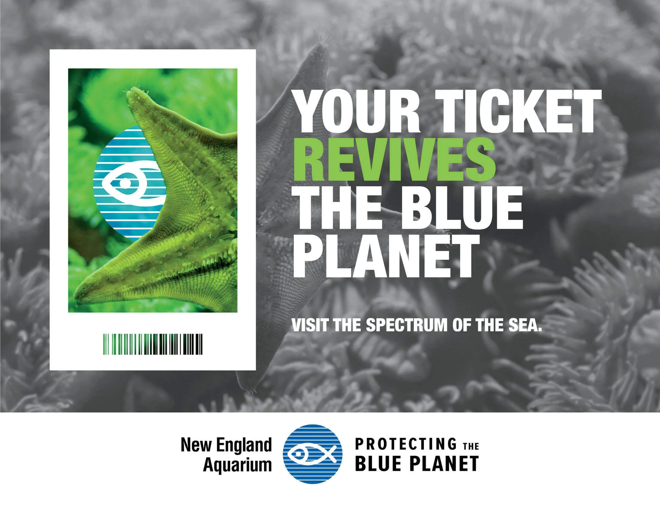 NEAQ-BluePlanet-Creative5.jpeg