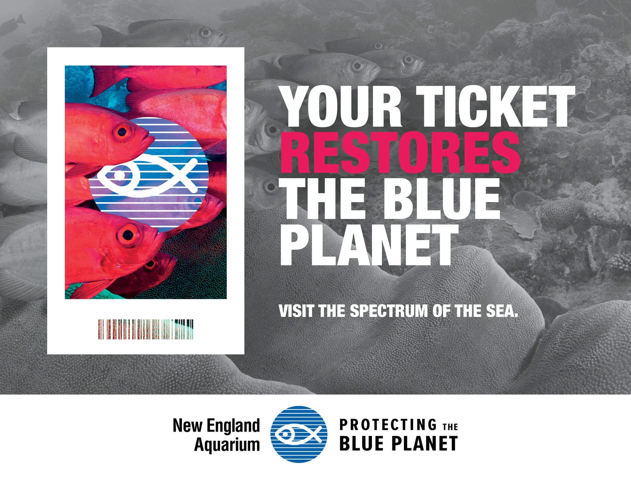 NEAQ-BluePlanet-Creative7.jpeg