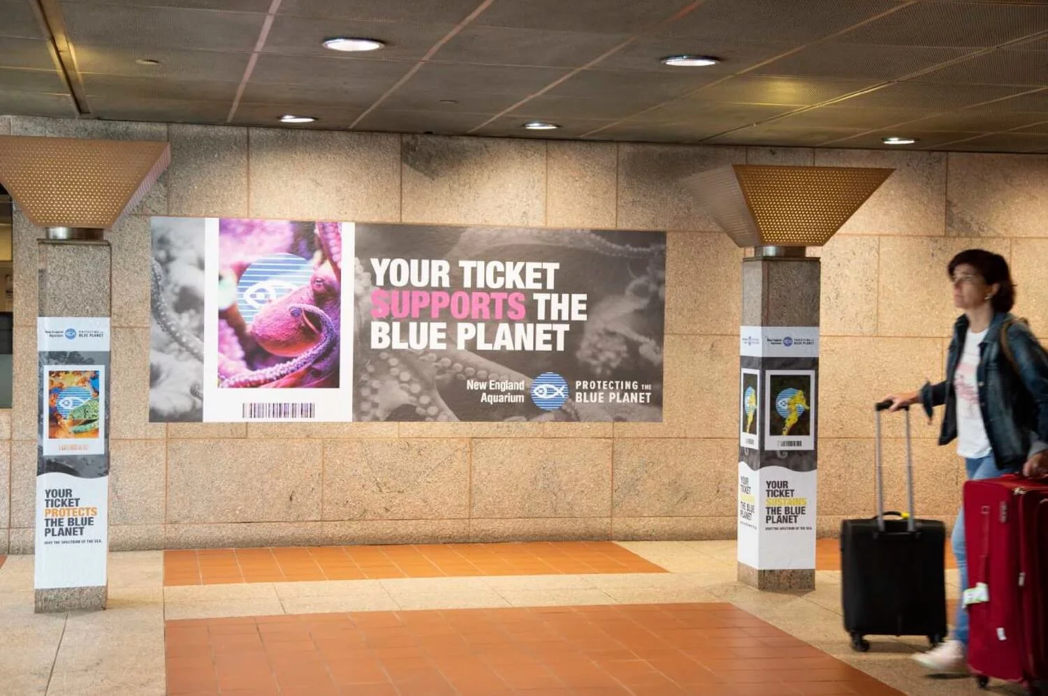 NEAQ-BluePlanet-Creative2.jpeg