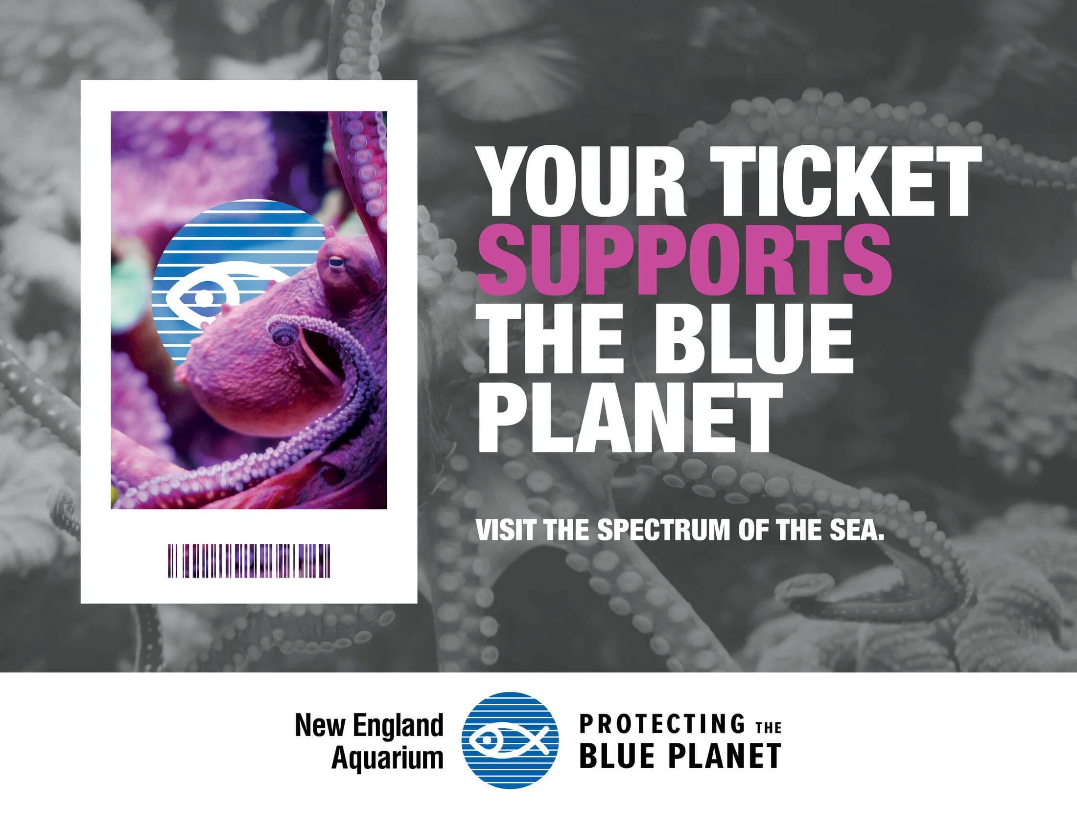 NEAQ-BluePlanet-Creative8.jpeg