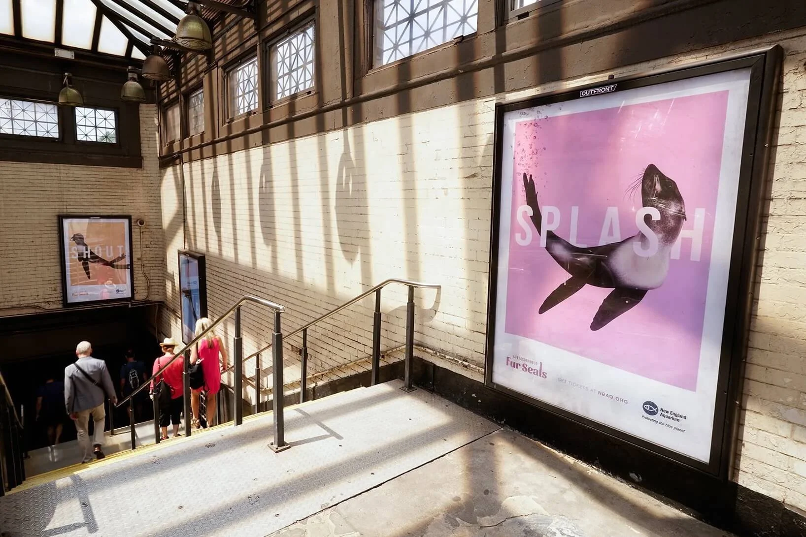 NEAQ-FurSeals-Creative5.jpeg