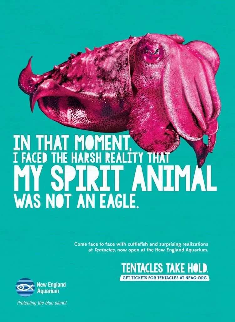 NEAQ-Cuttlefish-Creative.jpeg