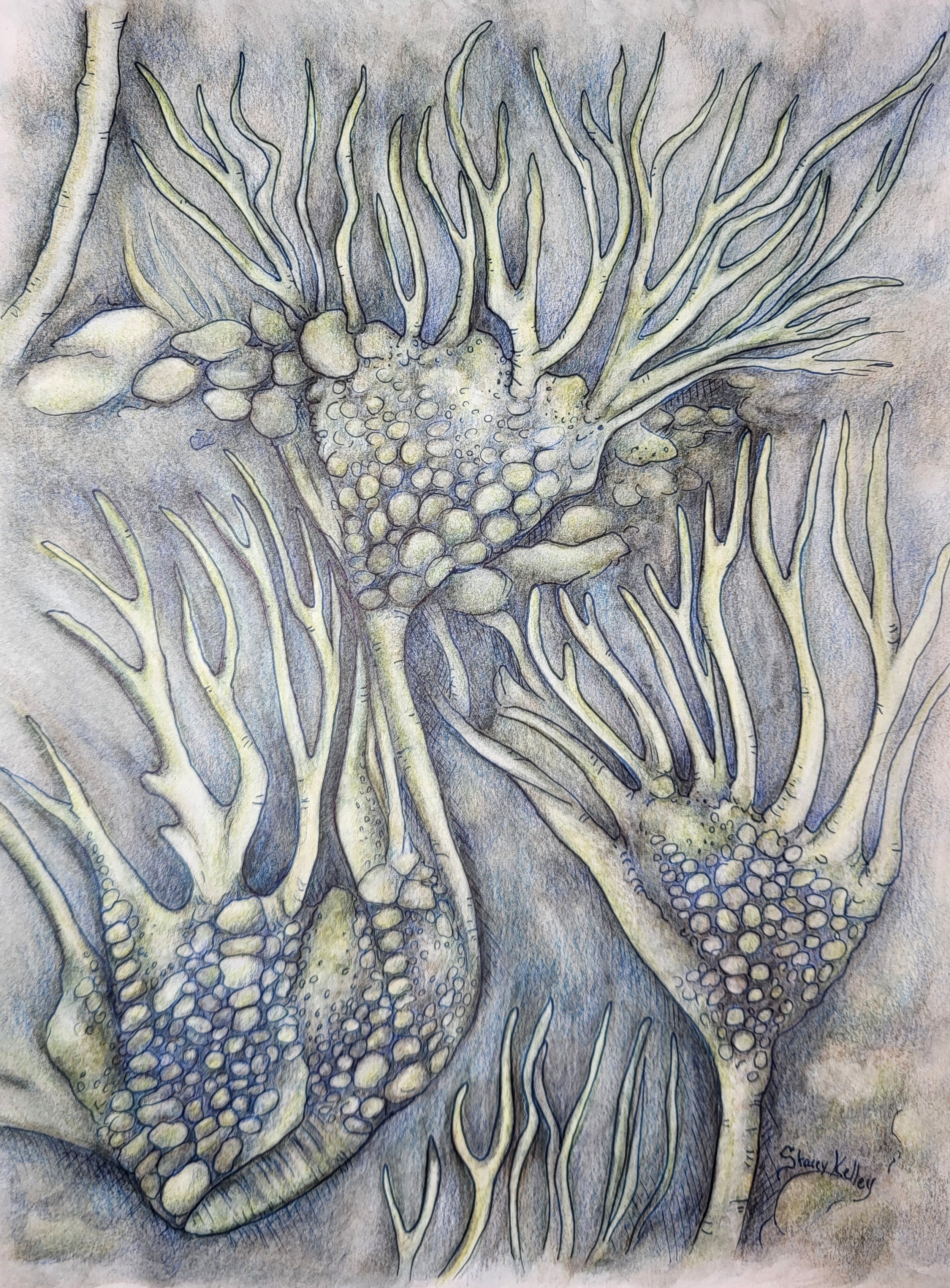 "Crinoids" - 9"x12" Original Mixed Media Art (unframed)