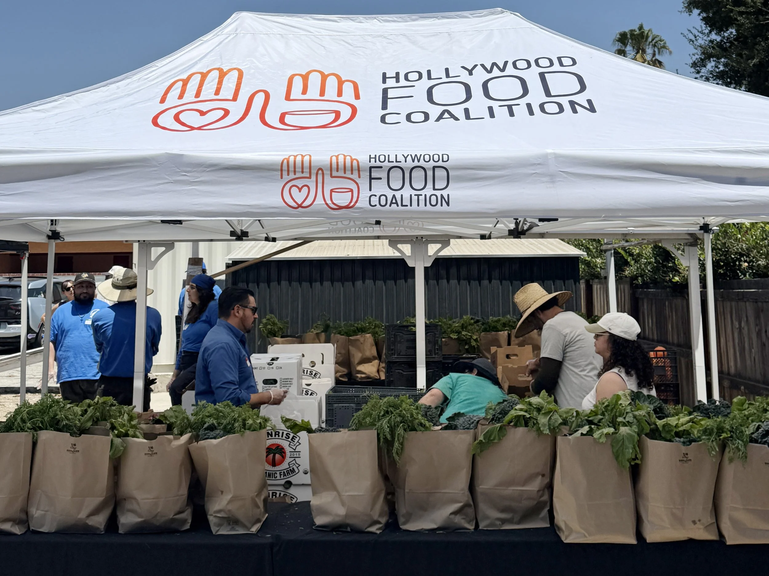 Variety of produce being distributed