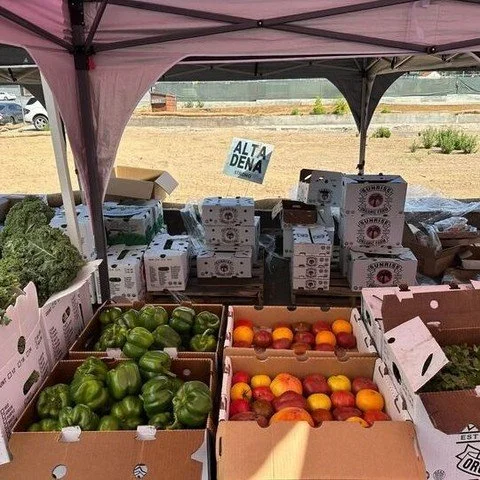 Today marks a year since the start of the Palisades and Eaton LA fires, fires that profoundly changed daily life and left lasting wounds for so many of our neighbors, including members of our own staff, volunteers, guests, and community.  A year late